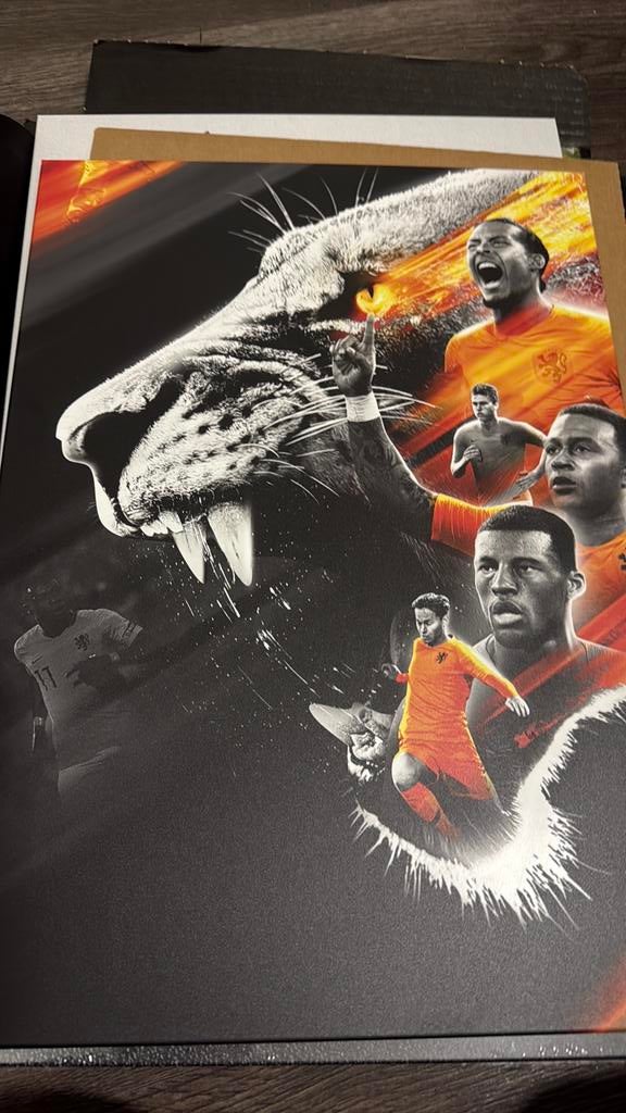 Nederlands elftal displate, Verzamelen, Ophalen of Verzenden, Zo goed als nieuw, A1 t/m A3