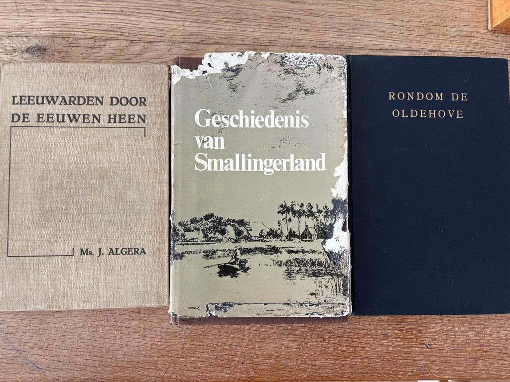 Frisica - groot kavel boeken historie/genealogie Friesland, Ophalen of Verzenden, Gelezen