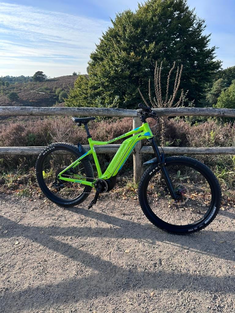Elektrische fiets Giant e dirt 2 pro, Fietsen en Brommers, Ophalen, Gebruikt, Hardtail, Heren