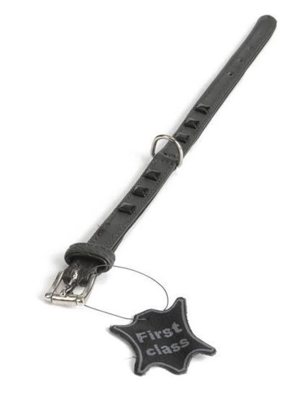 DOGGEAR-BEEZTEES Stud Leren Halsband Nekomtr 26-30 cm -35%!, Ophalen of Verzenden, Nieuw