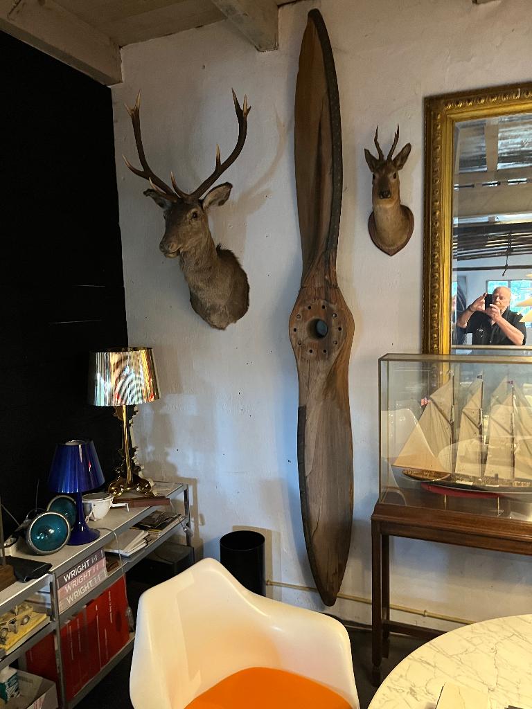 Vintage, Decoratie, Aniek, Fraaie spullen enz. enz., Ophalen of Verzenden, Gebruikt, Bruin, Eén