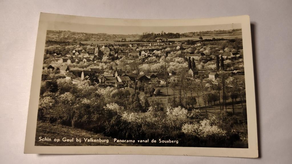 Schin op Geul Panorama vanaf de Sousberg, Ophalen of Verzenden, 1940 tot 1960