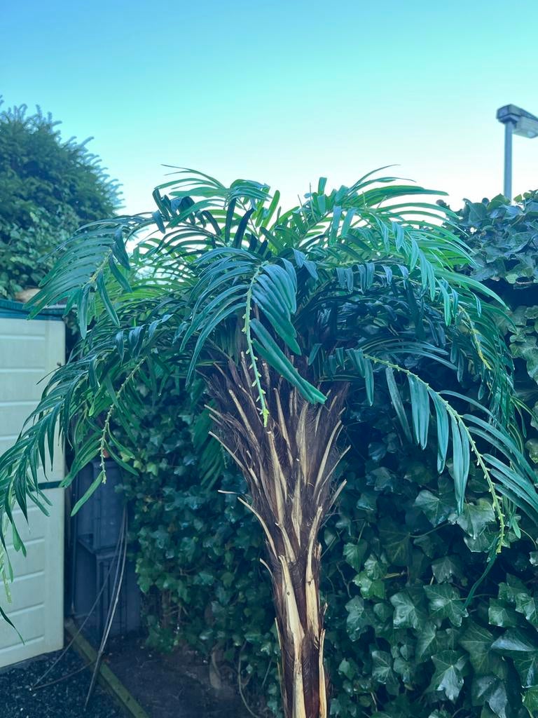 Realistische Kunst Palmboom - Perfect voor Binnen & Buiten, Huis en Inrichting, Woonaccessoires | Kunstplanten en Kunstbloemen