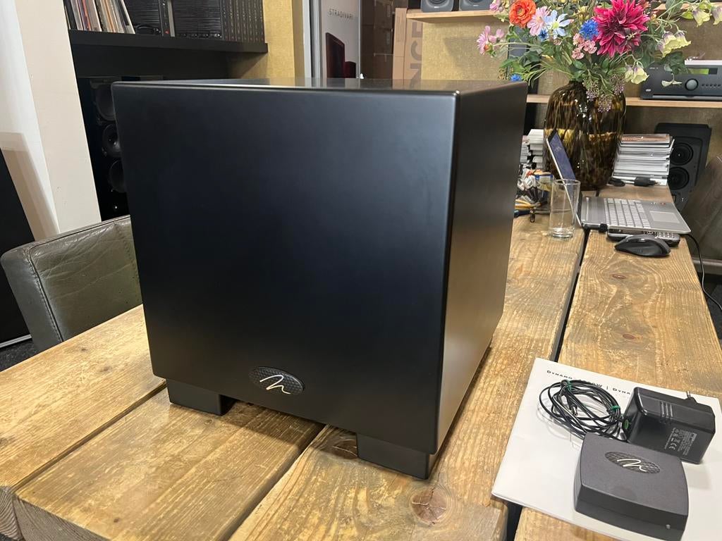 Martin Logan Dynamo 1000 + SWT-2, Audio, Tv en Foto, Luidsprekers, Gebruikt, 120 watt of meer, Front, Rear of Stereo speakers