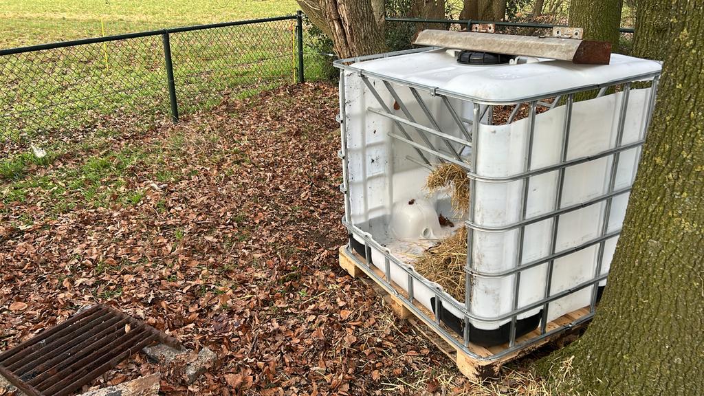 Nieuwe Hooiruif slow feeder schapen geiten pony's en paarden, Ophalen, Nieuw, Overige soorten