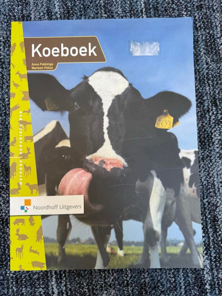 Koeboek - Anno Fokkinga, Marteen Felius (Noordhoff), Ophalen of Verzenden, Beta, Gelezen, MBO
