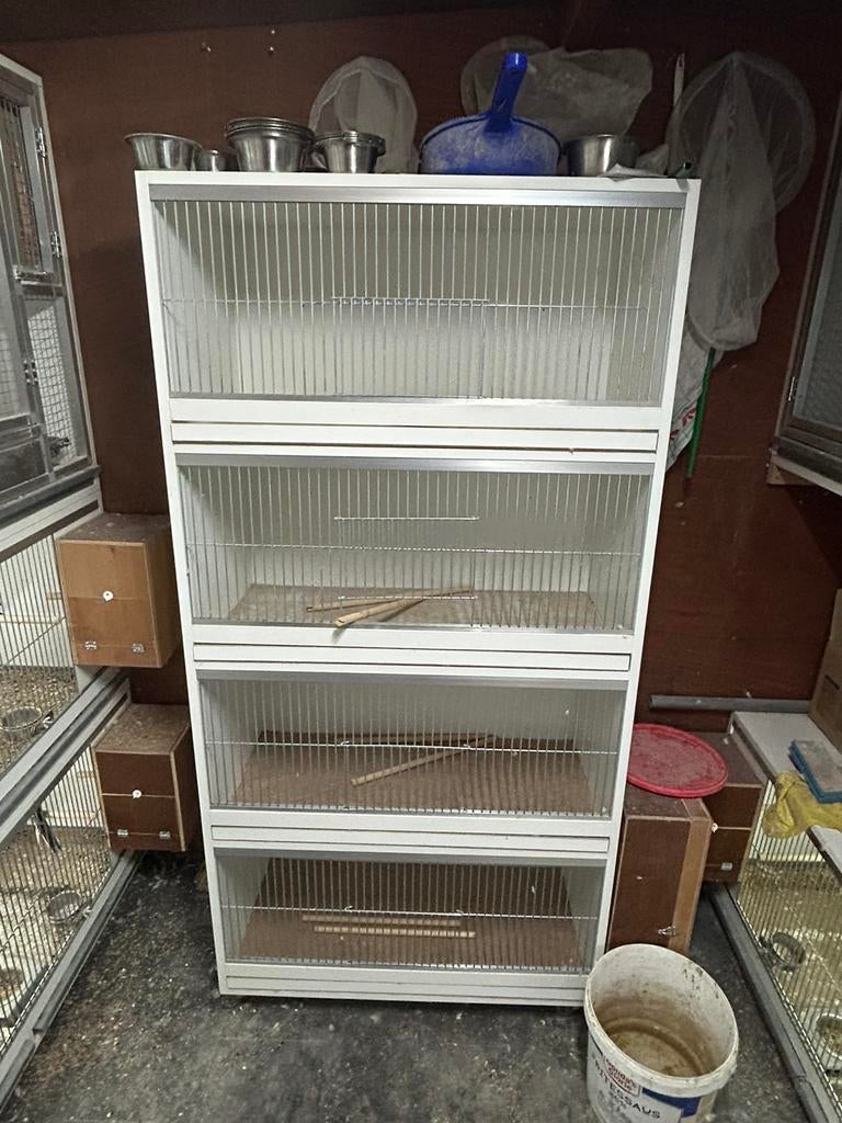 4 broedkooien 80x40x40 cm op wielen, Ophalen of Verzenden, Zo goed als nieuw, Hout, Broedkooi of Kweekkooi