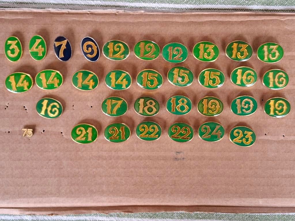 Vierdaagse cijfers Nijmegen, Ophalen of Verzenden, Landmacht, Nederland, Lintje, Medaille of Wings