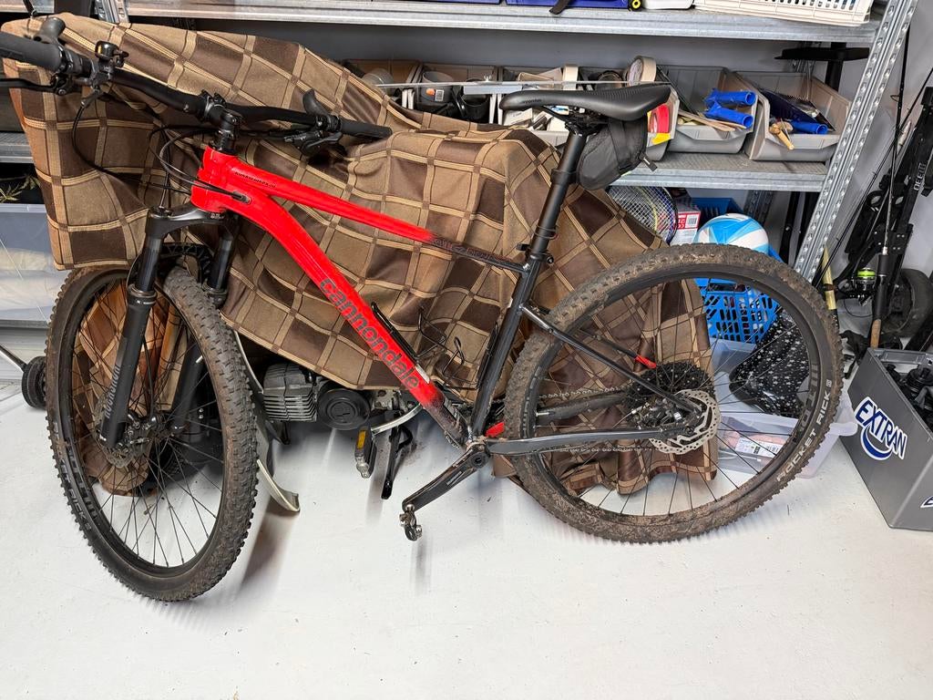 Cannondale 29M Trail SL3 mountainbike, Gebruikt, Hardtail, Heren, 49 tot 53 cm