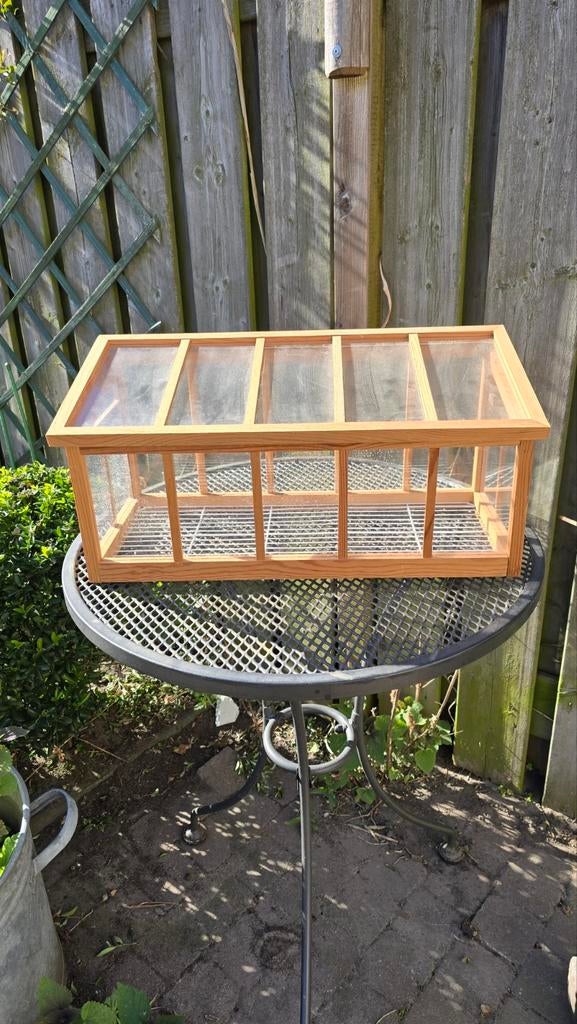 Houten kweekkastje 52x25x21 cm, Tuin en Terras, Kweekspullen, Ophalen, Gebruikt, Kweekkast