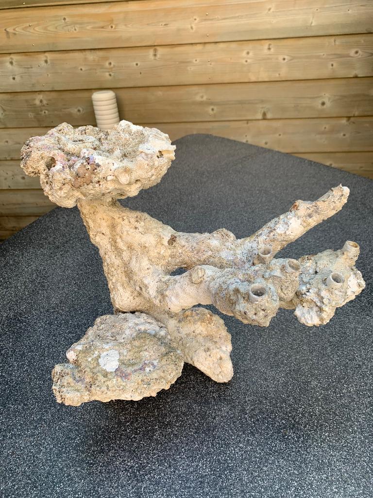 Aqua scape voor Red Sea Reefer 170, Ophalen, Gebruikt