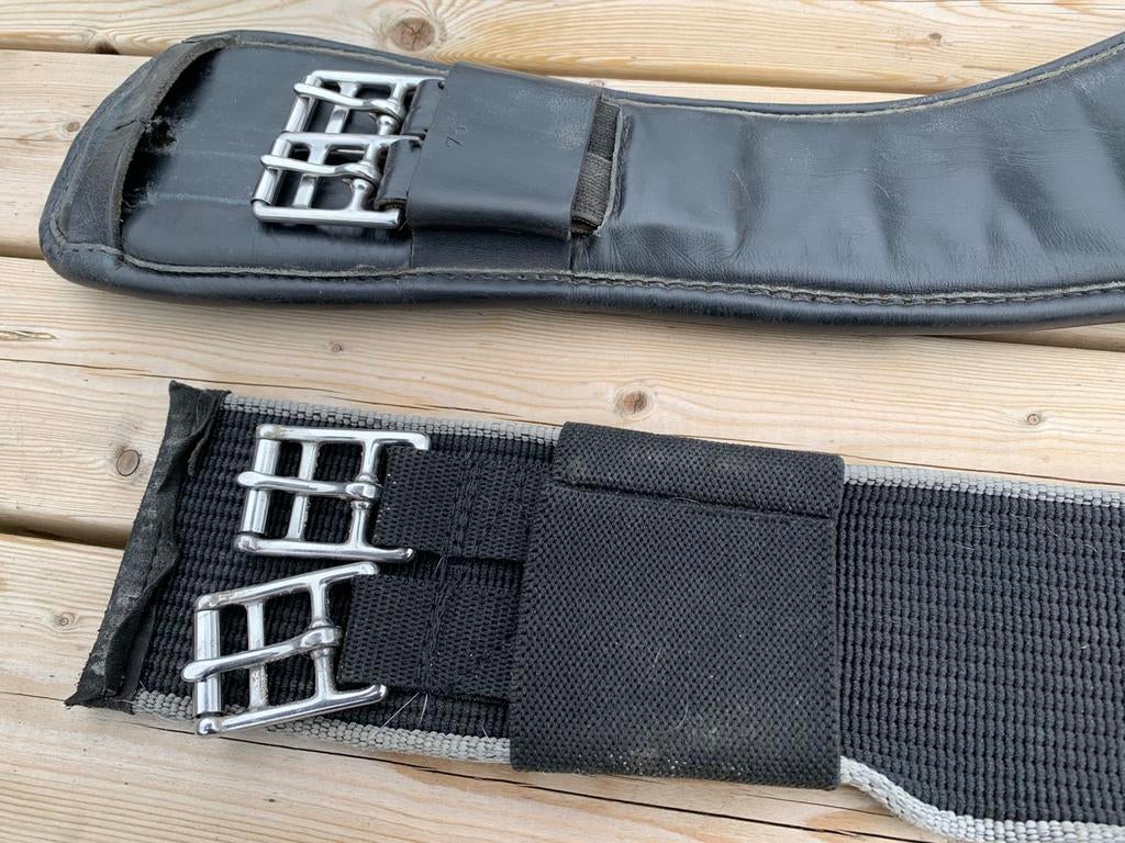 Dressuursingels, Dieren en Toebehoren, Ophalen of Verzenden, Gebruikt, Dressuur