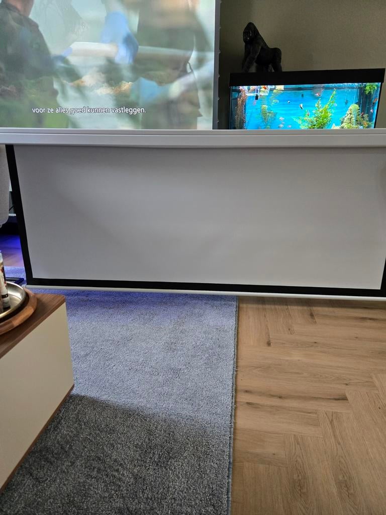 Elektrisch beamerscherm, Ophalen of Verzenden