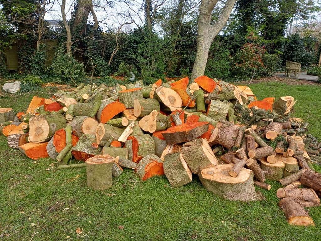 Vers gekapt hout: blokken en takken, Tuin en Terras, Haardhout, 6 m³ of meer, Ophalen of Verzenden, Overige houtsoorten, Blokken