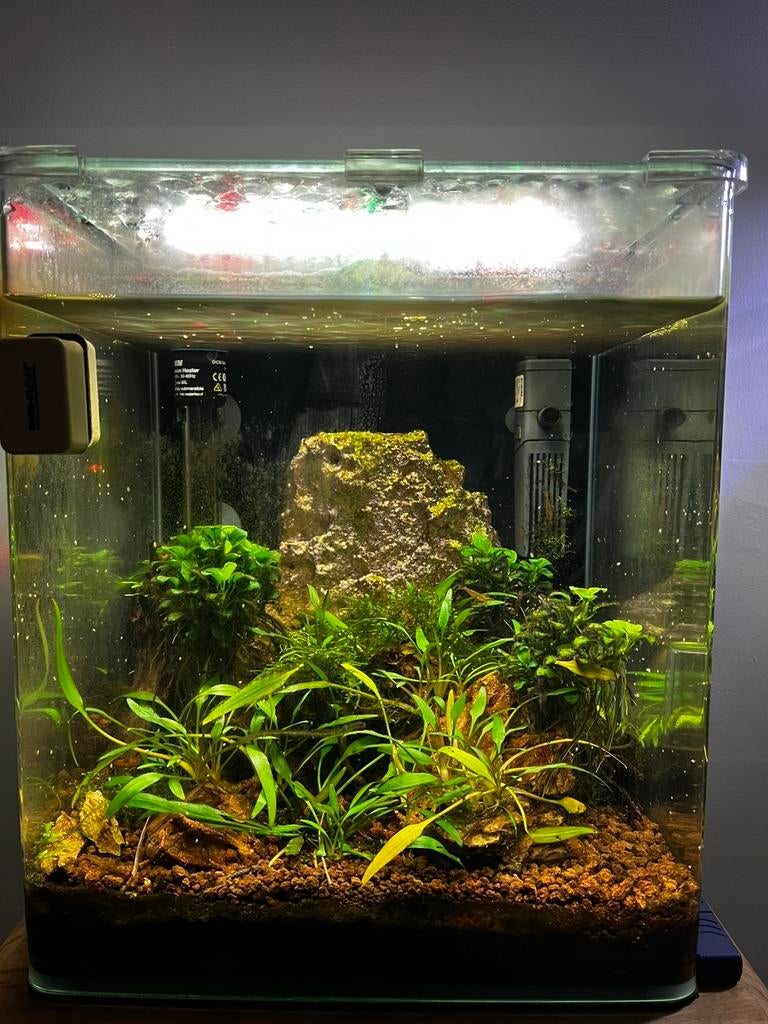 Nano aqarium te koop met garnalen, Ophalen, Zo goed als nieuw, Gevuld zoetwateraquarium