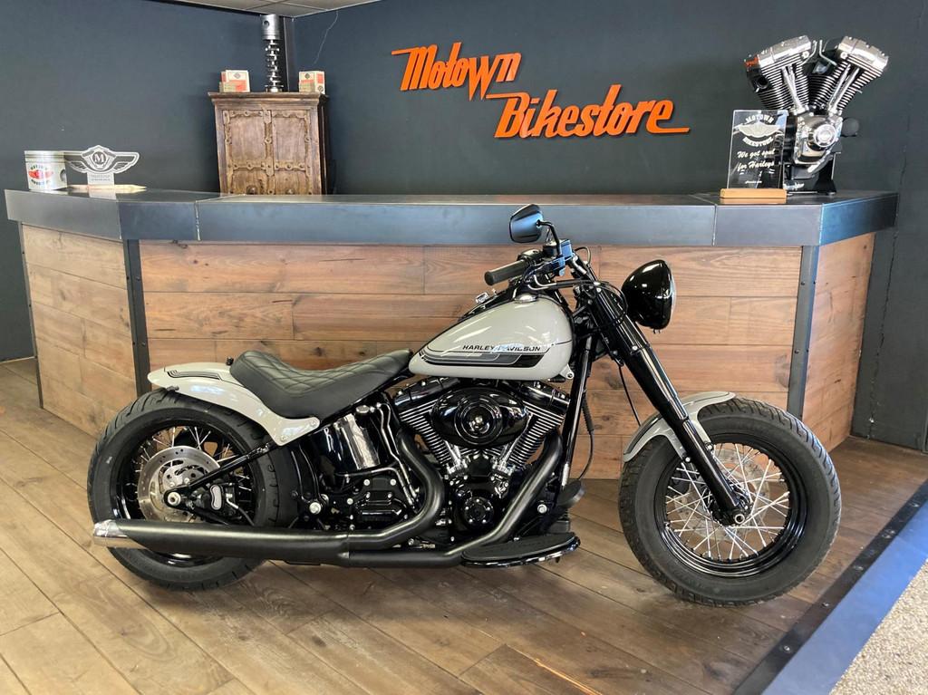 Harley Davidson FLS Softail Custom Special Paint Kreide Pors, 3700 W Juneau Ave
53208  Milwaukee, US, Info@harley-davidson.com