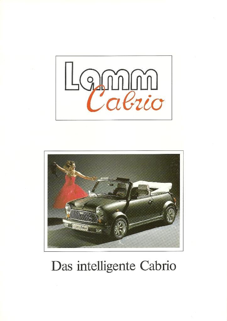 Mini cabriolet folder, Ophalen of Verzenden, Zo goed als nieuw, Overige merken