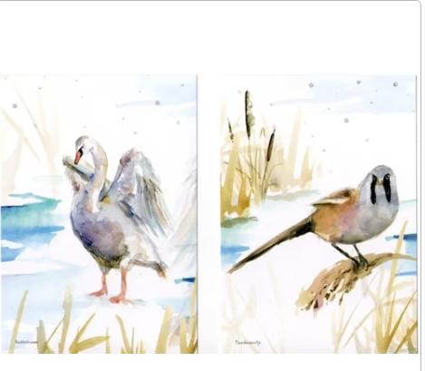 ongelopen ansichtkaarten Nederlandse Spechten en, Verzenden, 1980 tot heden, Waterdier