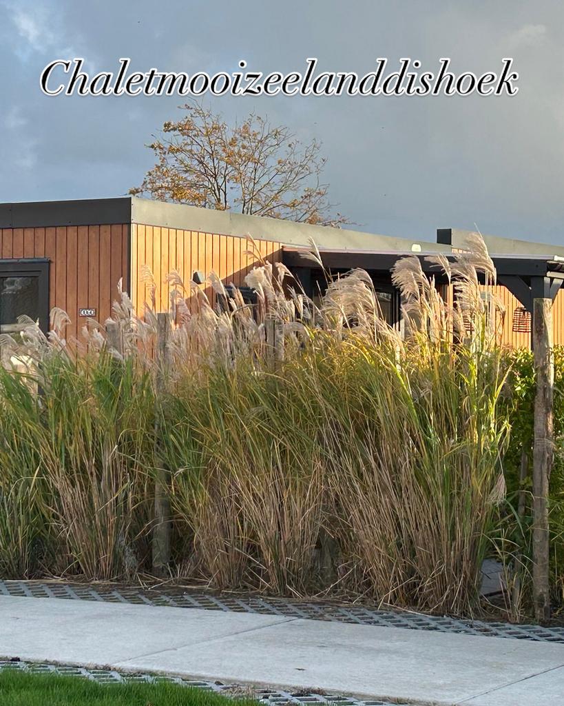 LUXE CHALET AAN ZEE IN DISHOEK 4 personen