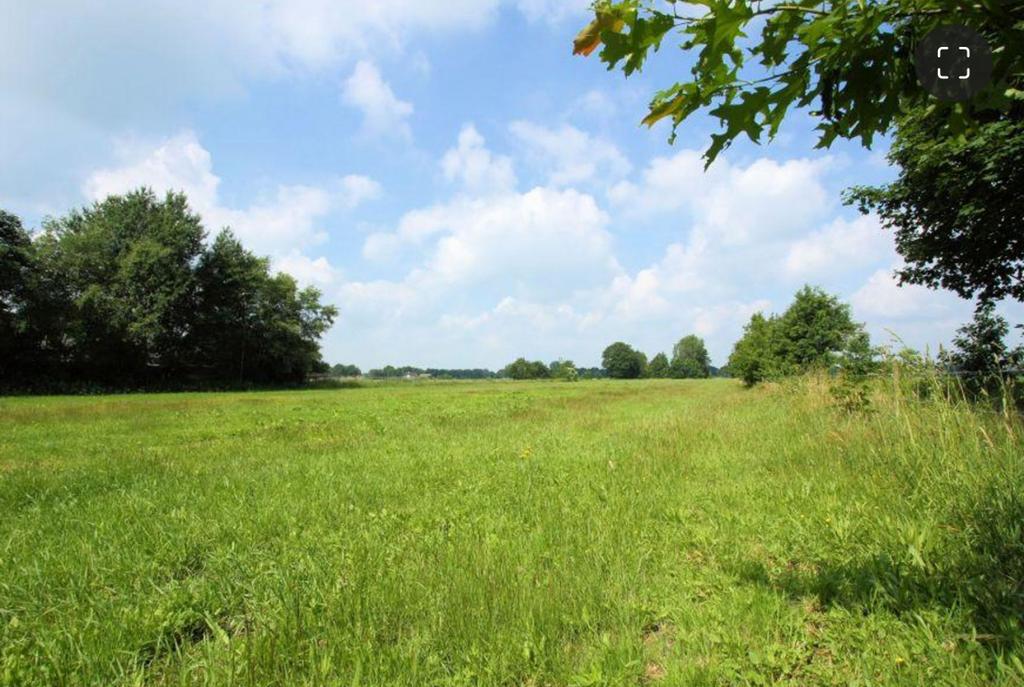 Gezocht Weiland/ Grasweide, Dieren en Toebehoren, Stalling en Weidegang, Weidegang