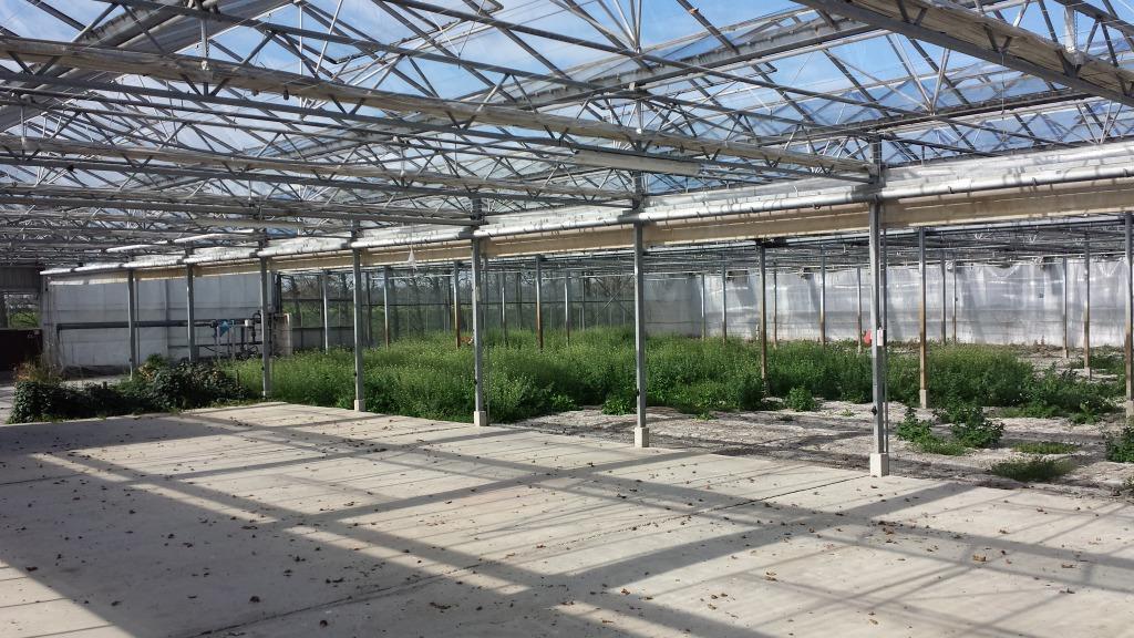 Kassen loodsen Tuincentra Koelcellen gezocht...., Ophalen