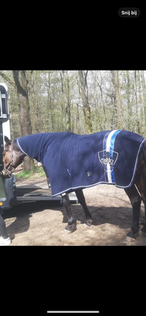 Zweetdeken eskadron maat 195, Dieren en Toebehoren, Paarden en Pony's | Dekens en Dekjes, Ophalen of Verzenden, Zo goed als nieuw