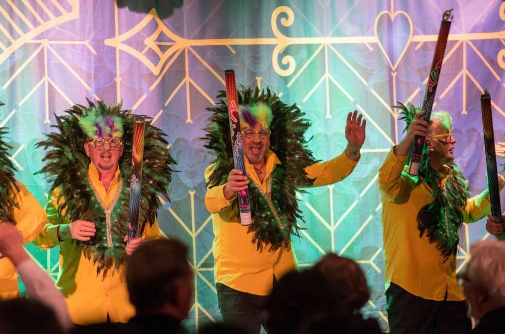 carnavals kleding Braziliaanse verven en blouse, Kleding | Dames, Ophalen, Zo goed als nieuw, Carnaval, Kleding