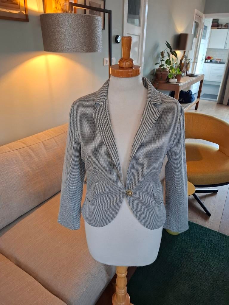 Blazer van Vanilia maat 36, Vanilia, Ophalen of Verzenden, Zo goed als nieuw, Maat 36 (S)