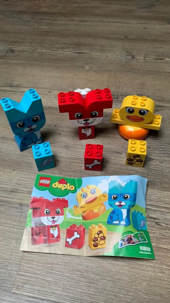 Duplo set 10858, Ophalen of Verzenden, Zo goed als nieuw, Duplo