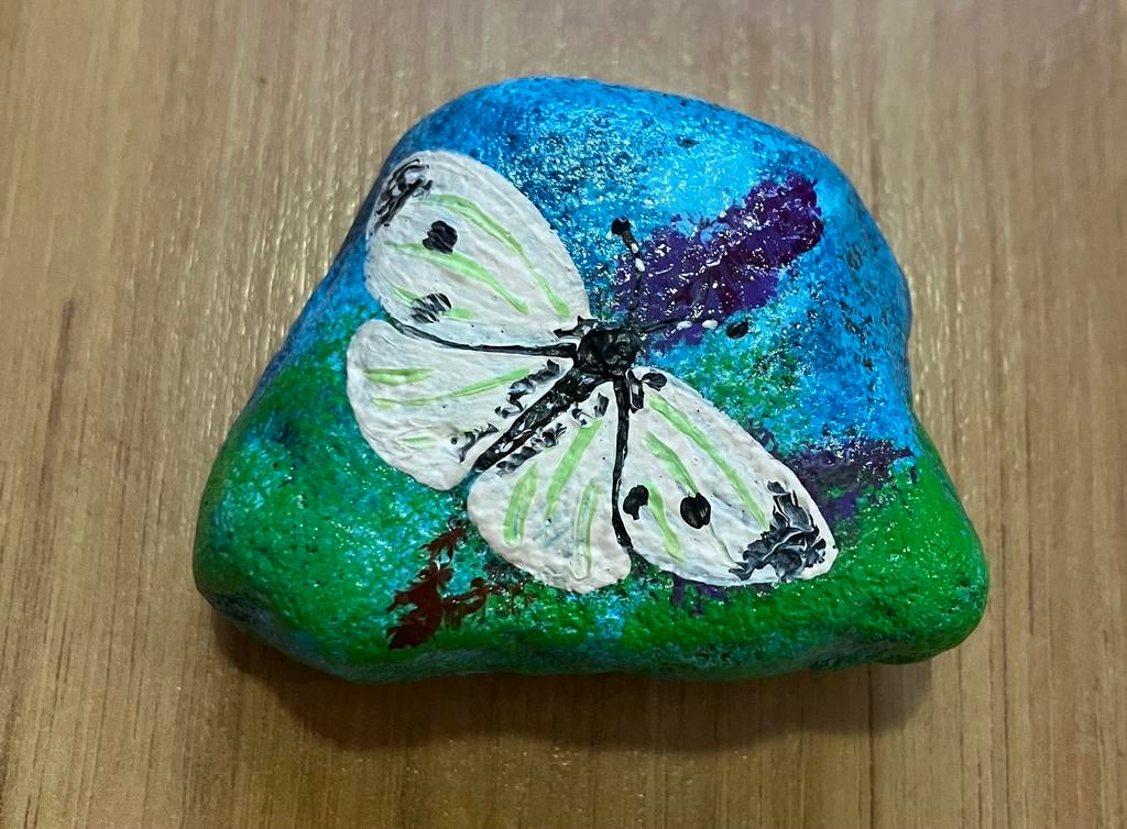 Beschilderde steen koolwitje, Ophalen of Verzenden, Zo goed als nieuw