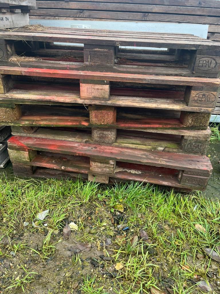 Europallets tekoop statiegeld, Ophalen of Verzenden, Zo goed als nieuw, 50 mm of meer, Pallet