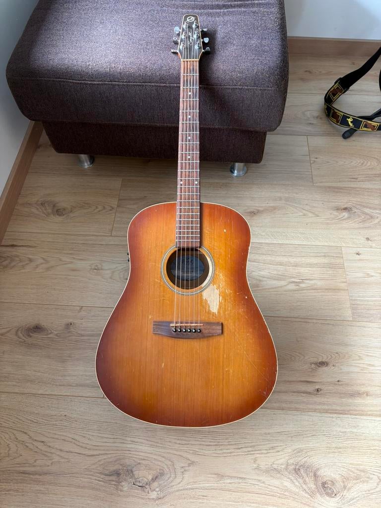 Seagull Entourage Rustic QI, Muziek en Instrumenten, Snaarinstrumenten | Gitaren | Akoestisch, Ophalen, Gebruikt, Western- of Steelstringgitaar