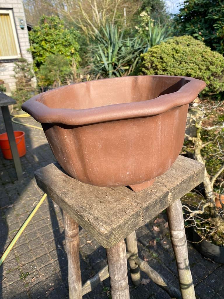 Cascade bonsai GROTE POT, Gebruikt, Rond, Ophalen of Verzenden, Aardewerk