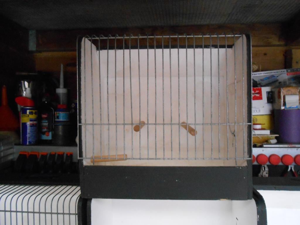 vervoers kooitjes, Ophalen, Gebruikt, Hout, Vogelkooi