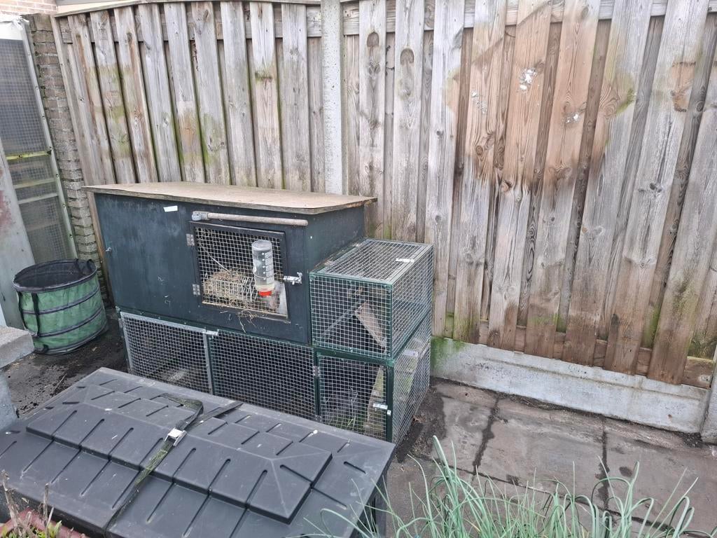 Te koop groot, gebruikt, konijnenhok, Ophalen, 90 cm of meer, Konijn, Hok