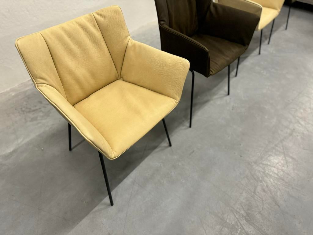 4 Nieuw Label Van den Berg Gustav Eetkamerstoel Leer, Bruin, Nieuw, Leer, Ophalen of Verzenden