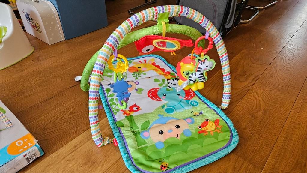 Fisher-Price Babygym met Muziek, Ophalen of Verzenden, Zo goed als nieuw, Overige typen, Met geluid