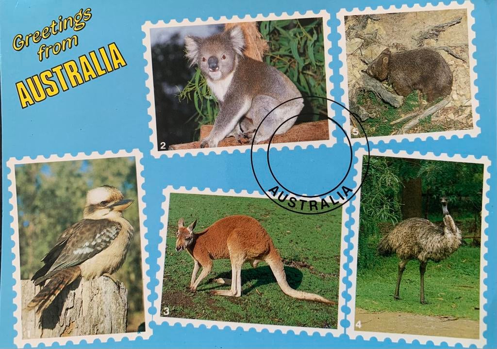 Australië, greetings from., Verzamelen, Ansichtkaarten | Buitenland, Ophalen of Verzenden