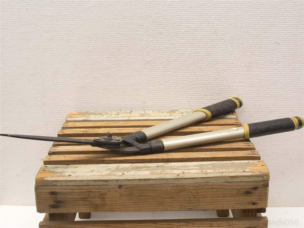 Telescopische takkenschaar, Snoeischaar 12259, Tuin en Terras, Ophalen of Verzenden, Gebruikt, Minder dan 20 mm