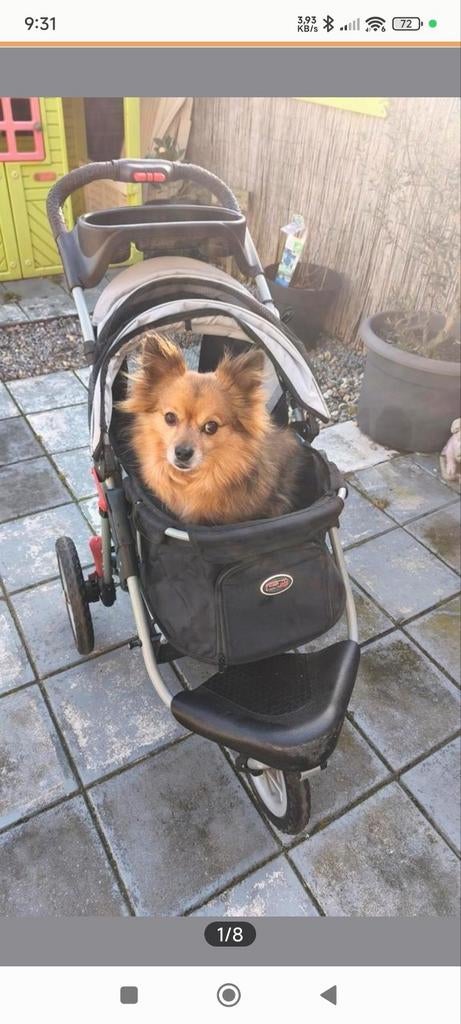 Innopet comfort efa, Ophalen