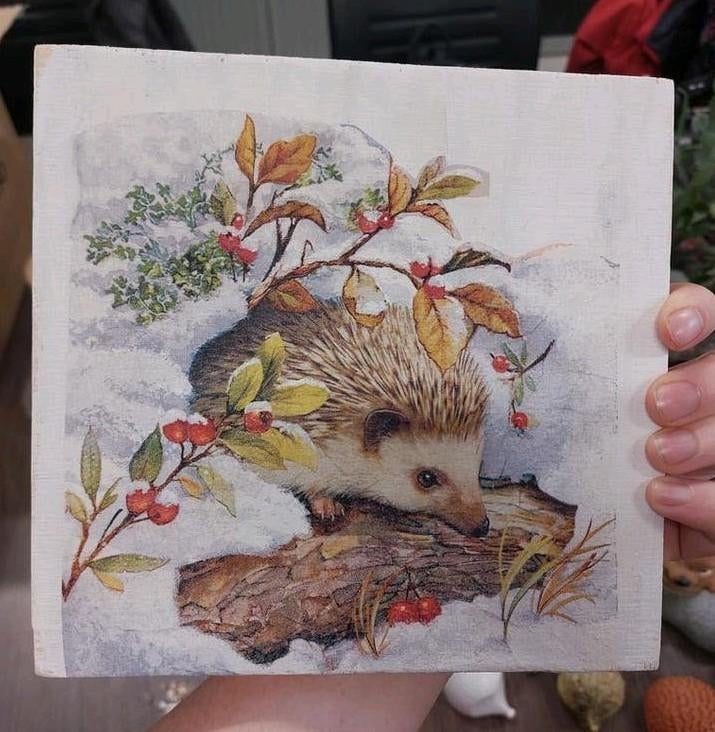 Houten plankje met egel afbeelding, Ophalen of Verzenden