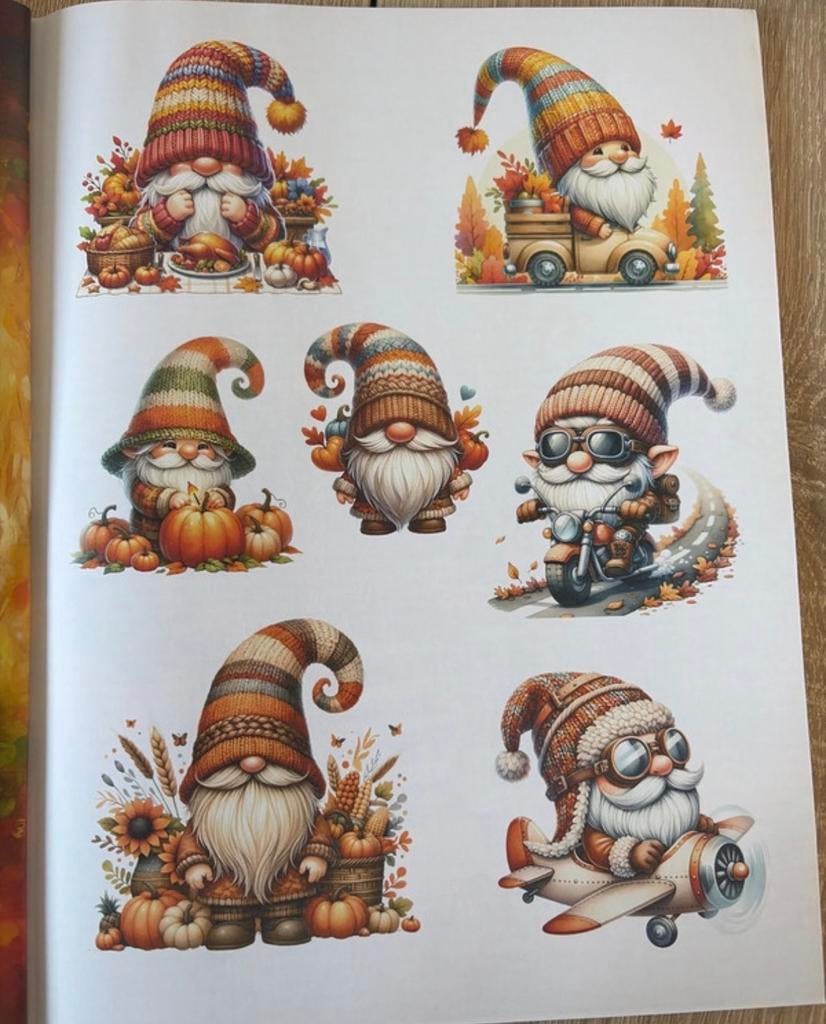 Ephemera autumn Gnomes: Nieuw boek met leuke kabouters, Boeken, Ophalen of Verzenden, Nieuw
