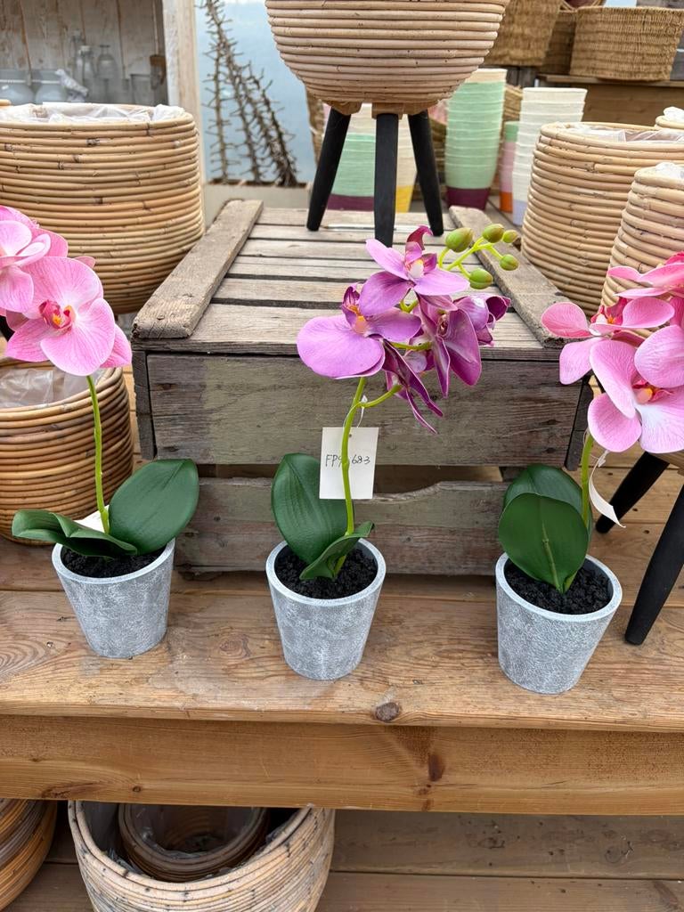 Kunst planten orchidee, Huis en Inrichting, Woonaccessoires | Kunstplanten en Kunstbloemen, Ophalen