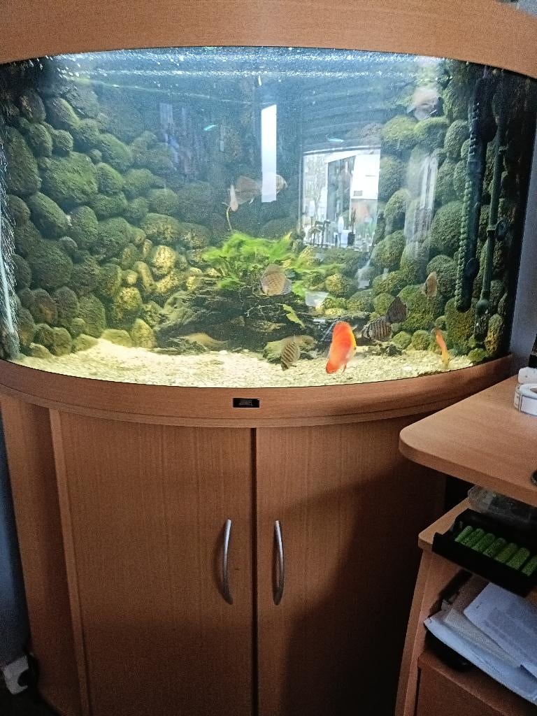 aqarium, Dieren en Toebehoren, Vissen | Aquaria en Toebehoren, Ophalen, Zo goed als nieuw, Juwel, Inclusief deksel