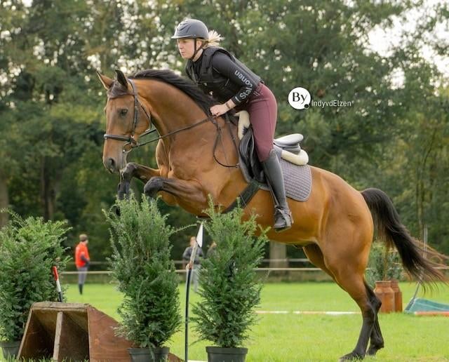 Bijrijder gezocht, Ophalen