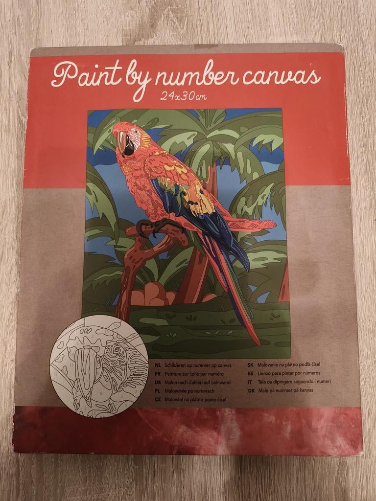 Paint by number canvas, Ophalen of Verzenden, Zo goed als nieuw