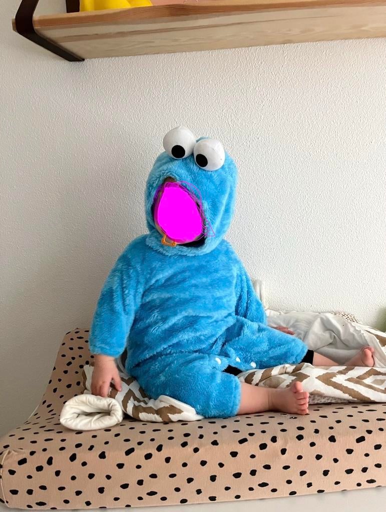 Koekiemonster carnavalpak, Ophalen of Verzenden, Zo goed als nieuw, Meisje