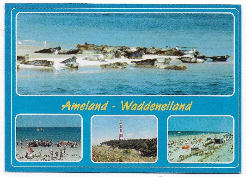 Ameland Waddeneiland gelopen Ansichtkaart ( B2537 ), Verzamelen, Ophalen of Verzenden, 1980 tot heden, Gelopen, Waddeneilanden