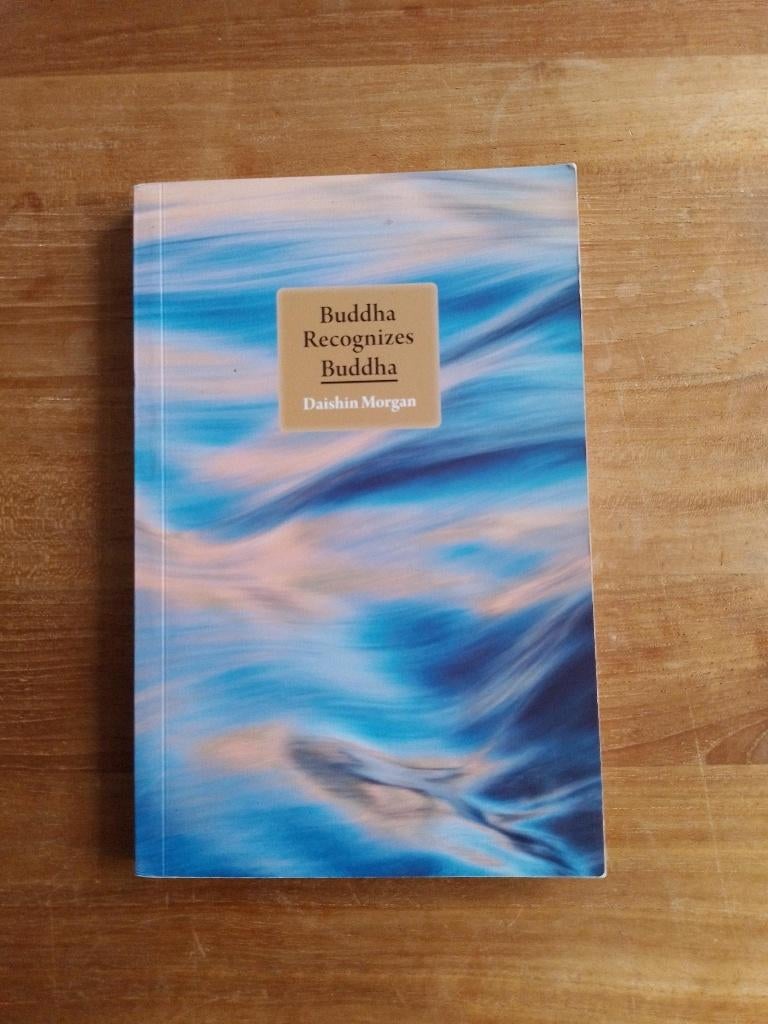 Buddha needs buddha    Daishin Morgan, Gelezen, Ophalen of Verzenden, Daishin Morgan, Boeddhisme