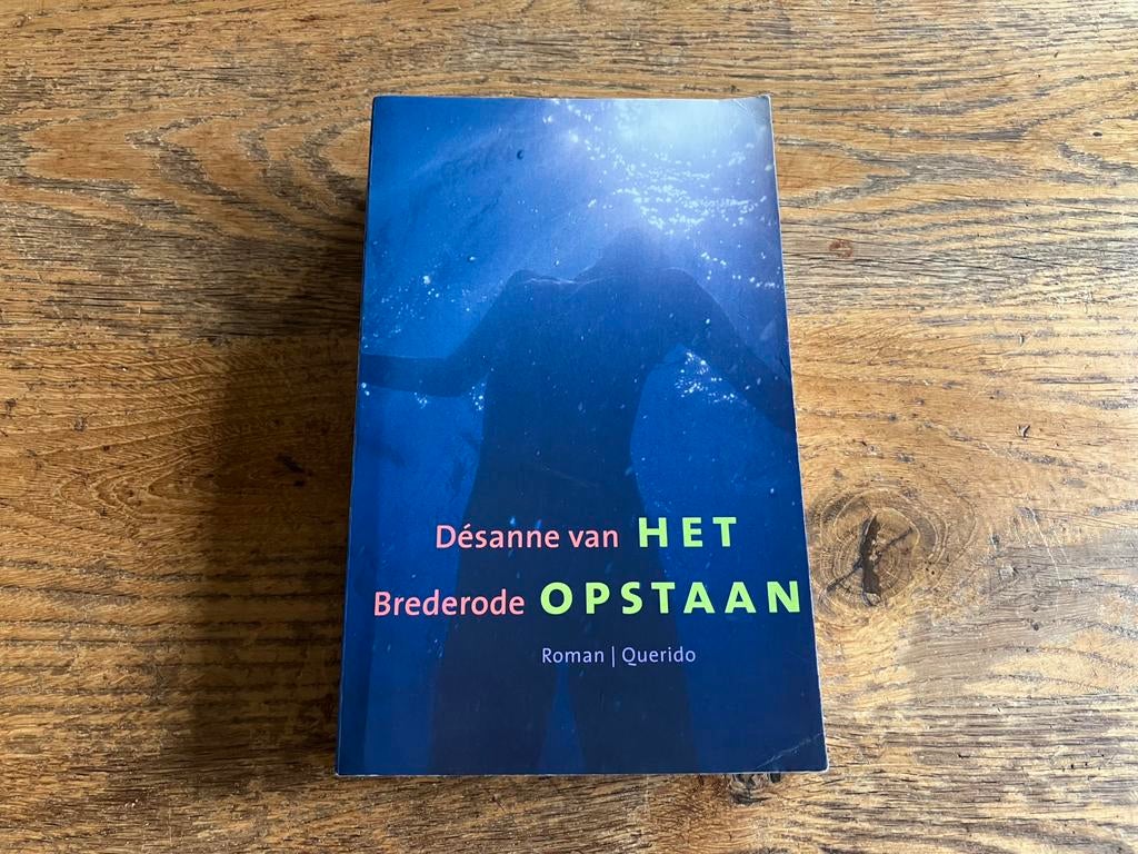 Désanne van Brederode - Het opstaan, Ophalen of Verzenden, Zo goed als nieuw, Désanne van Brederode